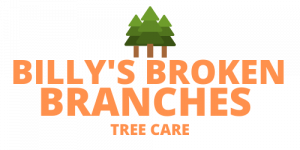 Billy's Broken Branches Tree Care, tree maintenance in Southampton